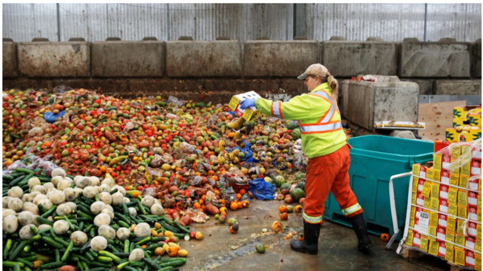 The Growing Problem of Food Waste: Tips for Reducing Waste in Your Kitchen