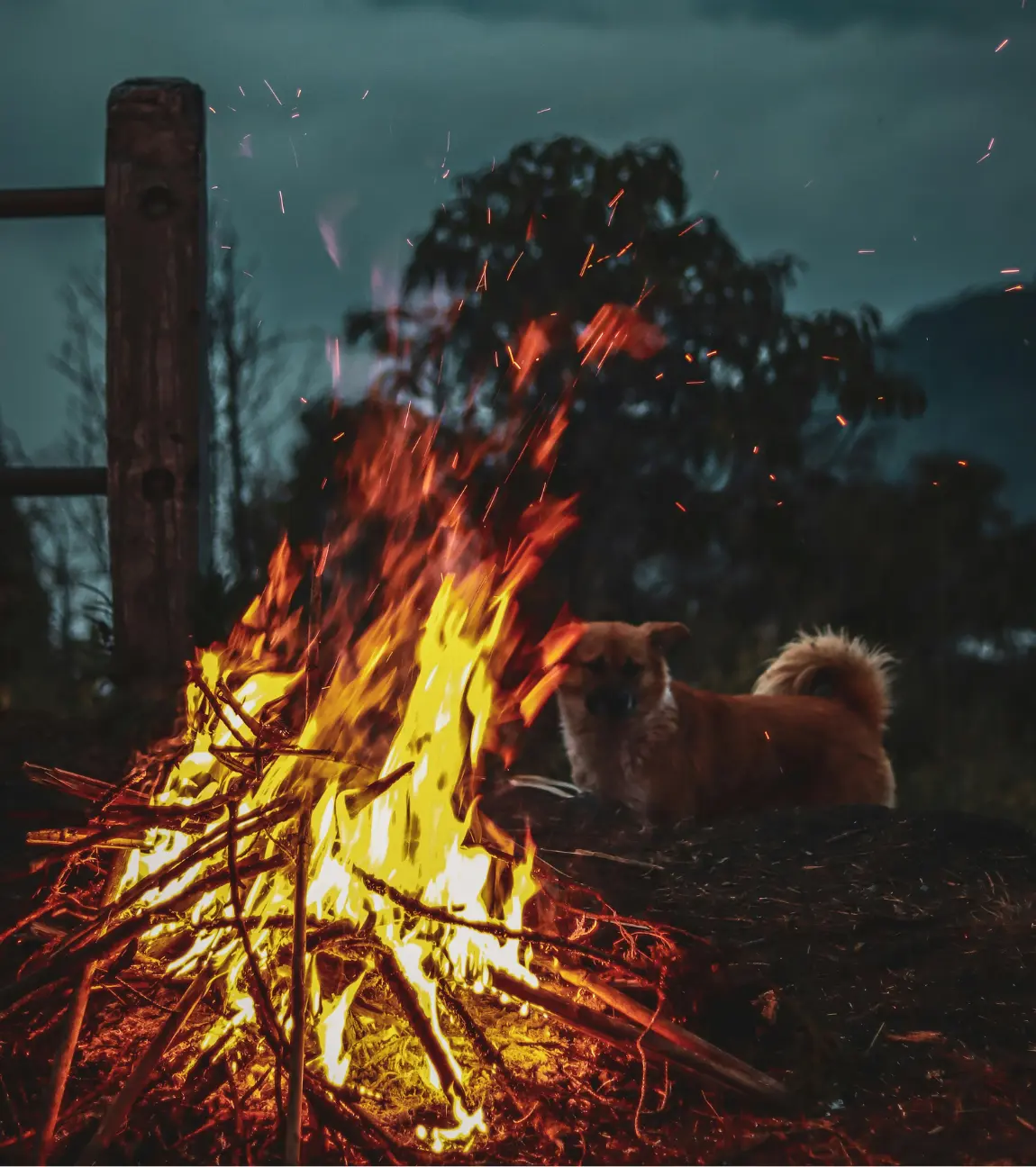Bonfire By The Orchard