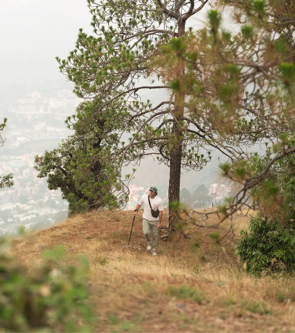 Guided Hike To Tagore Top