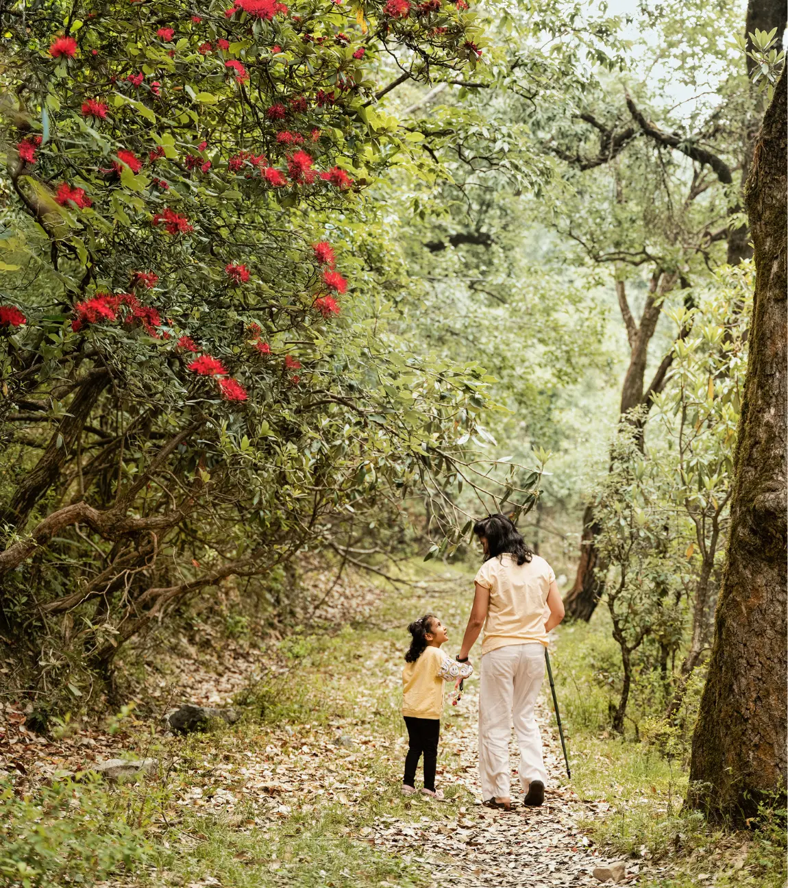 Jhandhidhar Trek