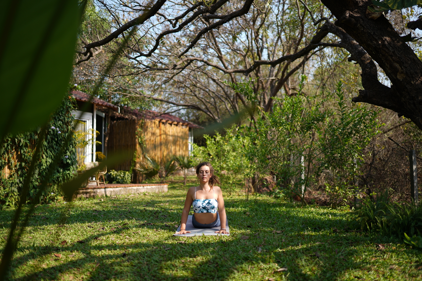 wellness experiences