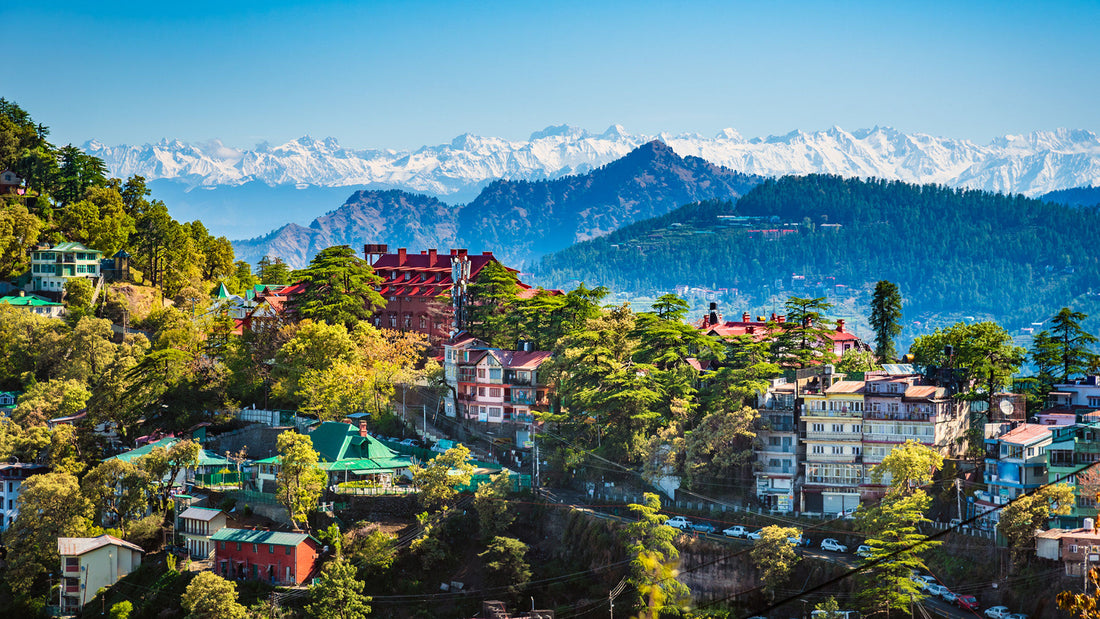 30+ Epic Things to Do in Shimla