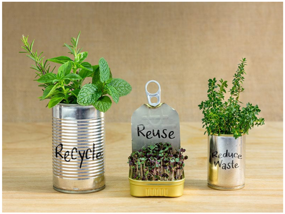 Waste Not, Want Not: Creative Ways to Upcycle Everyday Items