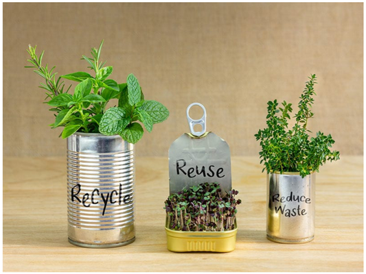 Waste Not, Want Not: Creative Ways to Upcycle Everyday Items